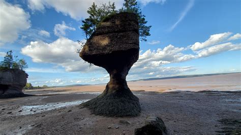 The Extreme Tidal Range Of The Bay Of Fundy Created The Uniquely Shaped