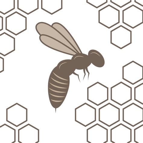 Honey Bee Honeycomb Beehive Pattern Vector Bee Nest Png Download