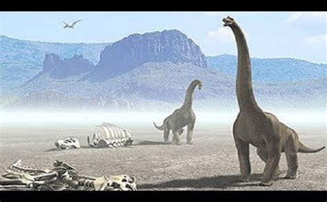 Patagotitan Mayorum The Biggest Dinosaur Found In Argentina News Nation English