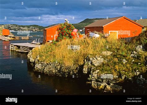 Boat Houses In The Fishing Village Of Salvage Newfoundland Canada