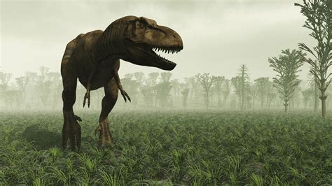 Tyranozaur Rex Krwiożerczy Drapieżnik Czy Podstępny Padlinożerca