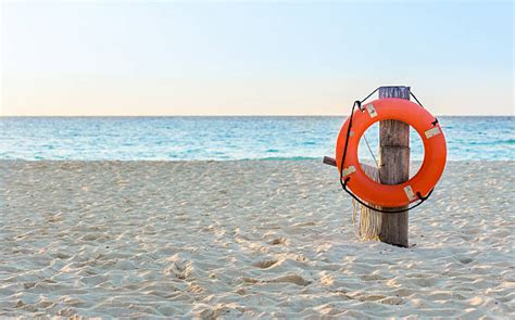 33900 Beach Lifesaver Stock Photos Pictures And Royalty Free Images