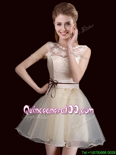 Strapless bodice with full ball gown skirt with roses tucked into the cascading waterfall skirt. 2017 Lovely Belted Organza Short Dama Dress in Champagne - Quinceanera 100