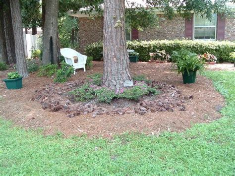 Landscaping Ideas Under Pine Trees