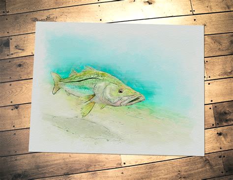 Snook Art Print In Magic Marker Style A Great Snook Etsy