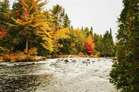 Autumn At Algonquin Provincial Park Rcanada