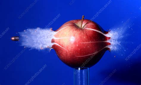 Bullet Hitting An Apple Stock Image C0222000 Science Photo Library