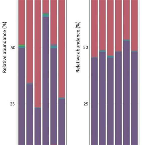 Phylum Level Composition Bar Plots Showing Average Relative Abundance Download Scientific