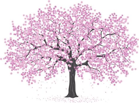 Royalty Free Cherry Blossom Tree Clip Art Vector Images