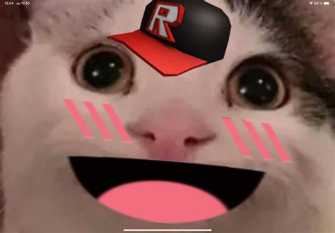 Roblox Meme Pablo Cat Hilarious Freetoedit Cat Memes Cute