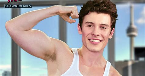 Static Fakes Shawn Mendes