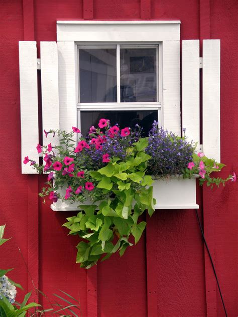 Cape Cod Window Box Photograph By Jean Hall Fine Art America