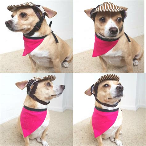 Gemma Modelling The Stripey Hat Visor Hats Dog Lover
