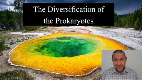 32 The Diversification Of The Prokaryotes Youtube