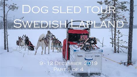 Four Days Dog Sled Tour In Jokkmokk Sweden Lapland Part 1 Of 4 Youtube