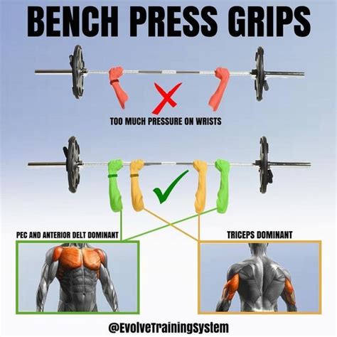 6 Technique Points To Increase Bench Press Weight Bench Press