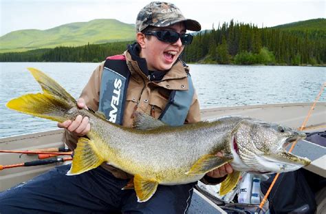 Where To Find World Class Lake Trout Fishing In British Columbia