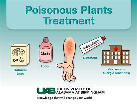 Non seasonal itching (it might be seasonal if the material causing the irritation is a plant) in spots that don't have much fur. Avoiding and Treating for Contact with Poisonous Plants
