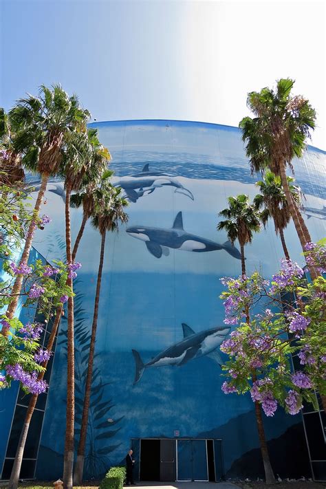 L Admission à L Aquarium De Long Beach