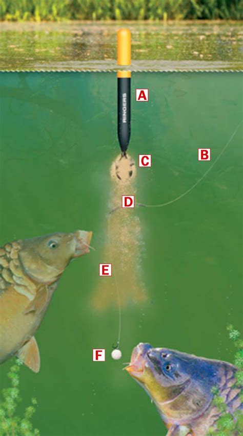 Akushin zamani 11 months ago download. How to make a bagging waggler rig for catching big carp ...