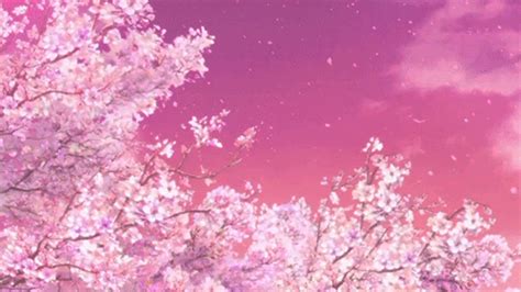 Background animated with hundreds of pink leaves that look like hearts. sakura petal gif | Tumblr