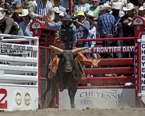 Priefert Bucking Chute Kovac Ranch Equipment