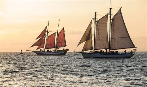 Two Mast Schooner Stock Photos Pictures And Royalty Free Images Istock