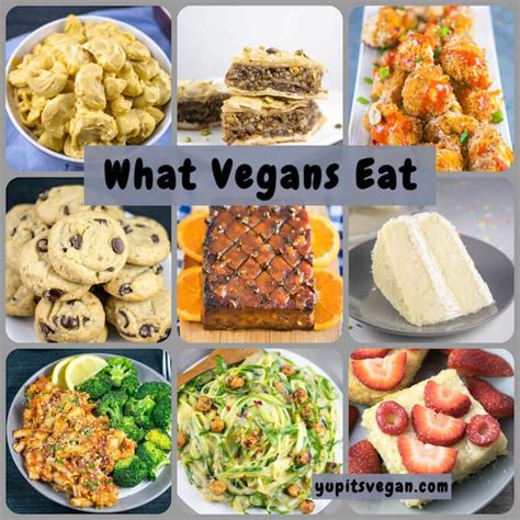 Get a forkful of cheesy, macaroni goodness. A brief introduction to All Vegan Food. via @yupitsvegan ...