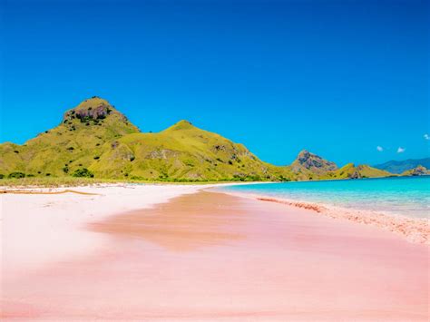 5 Of The Most Beautiful Pink Beaches In The World