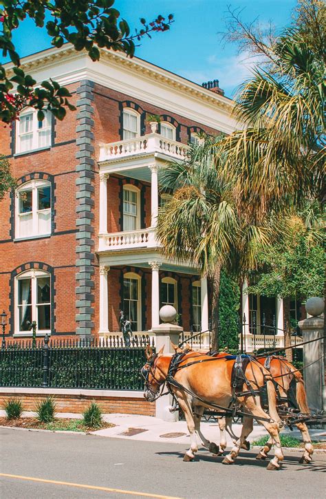9 Best Things To Do In Charleston South Carolina In 2020 South