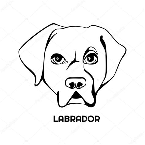 Labrador hond hoofd Logo — Stockvector ©