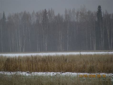 Fairbanks Ak Creamers Field Photo Picture Image