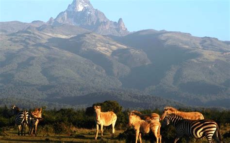Visit Mount Kenya National Park In 2021 Kenya Safari Tours