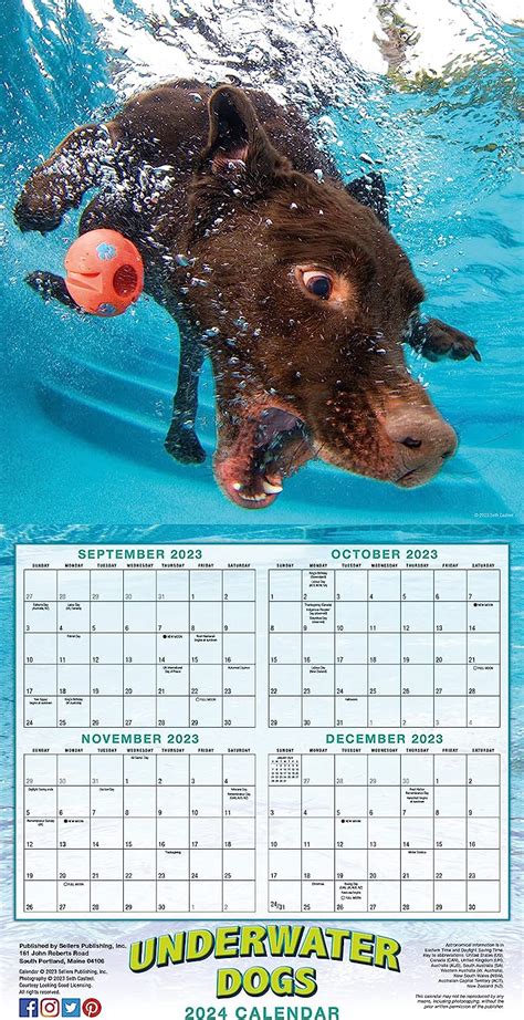 2024 Underwater Dogs Seth Castell Square Wall Calendar