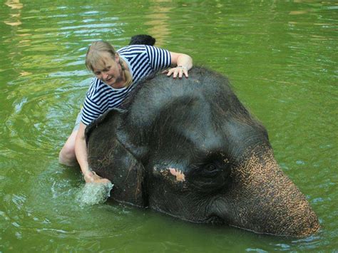 Lombok Wildlife Park Tickets - Quick & Easy Booking with Traveloka