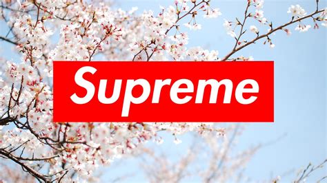 Supreme Laptop Wallpapers Top Free Supreme Laptop Backgrounds