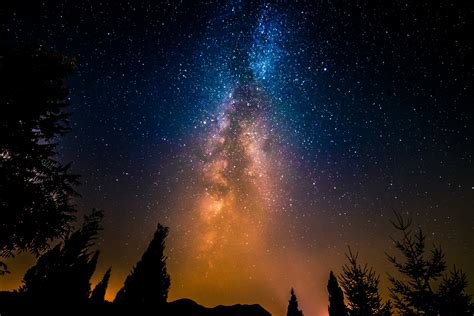 Space Star Night Milky Way Tree Hd Wallpaper