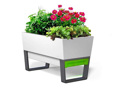 Terracotta watering spikes with hose. This self-watering planter box is the green thumb you ...