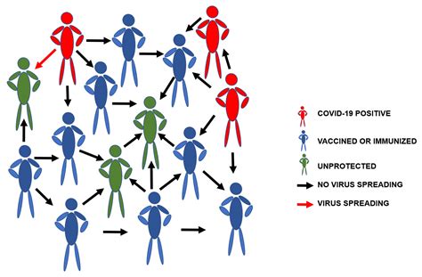 Vaccines Free Full Text Dynamics Of Population Immunity Due To The