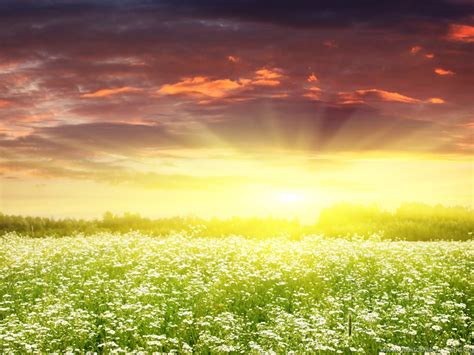 Hd Morning Spring Sunrise Wallpapers Hd Full Size Hirewallpapers 6674