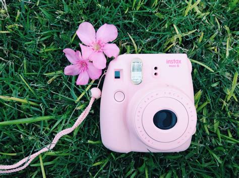 A Pink Camera Laying In The Grass Next To A Flower
