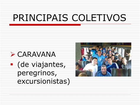 Qual Coletivo De Viajantes