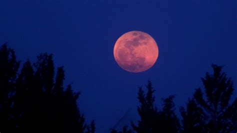 Blood Moon Latest News On Blood Moon Breaking Stories And Opinion Articles Firstpost