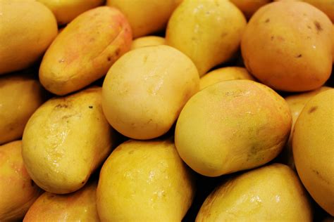 Fresh Yellow Mangoes · Free Stock Photo