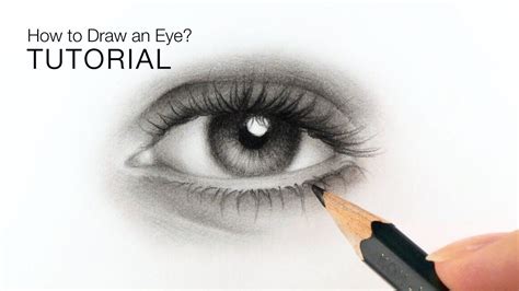 Again this can change depending on the person but generally drawing the irises in such a away will help show a. How to draw realistic eyes for BEGINNERS - EASY tutorial ...