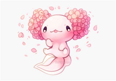 Easy Kawaii Cute Axolotl Drawing Kawaii Cute Cute Easy Drawings Images