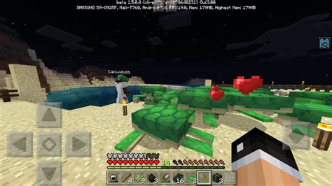 How Long Does It Take For Turtle Eggs To Hatch In Minecraft Dynaaca
