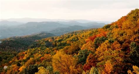 Peak Fall Foliage In Tennessee Looks To Be In Late October November Wfli