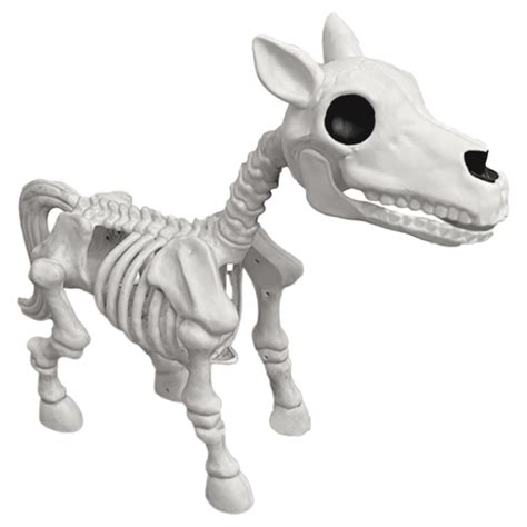 Halloween Horse Skeletonnew Horse Skull Prophorse Skeleton Halloween