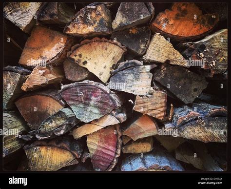 Split Firewood Stacked Stock Photo Alamy